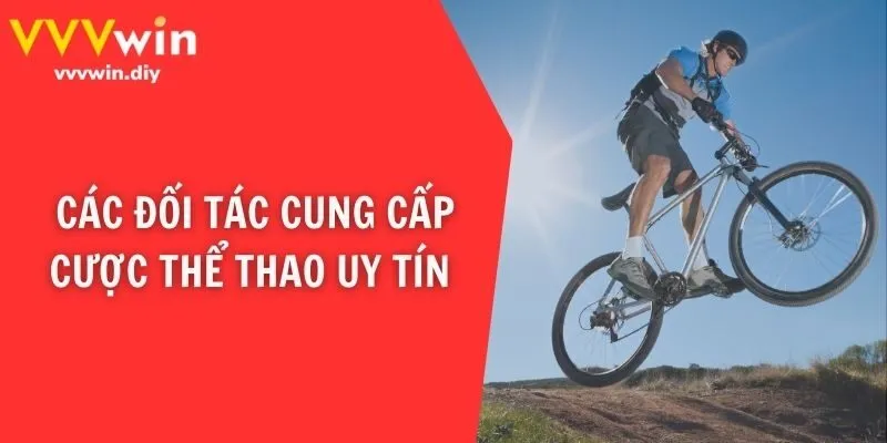 Các đối tác cung cấp cược thể thao uy tín 